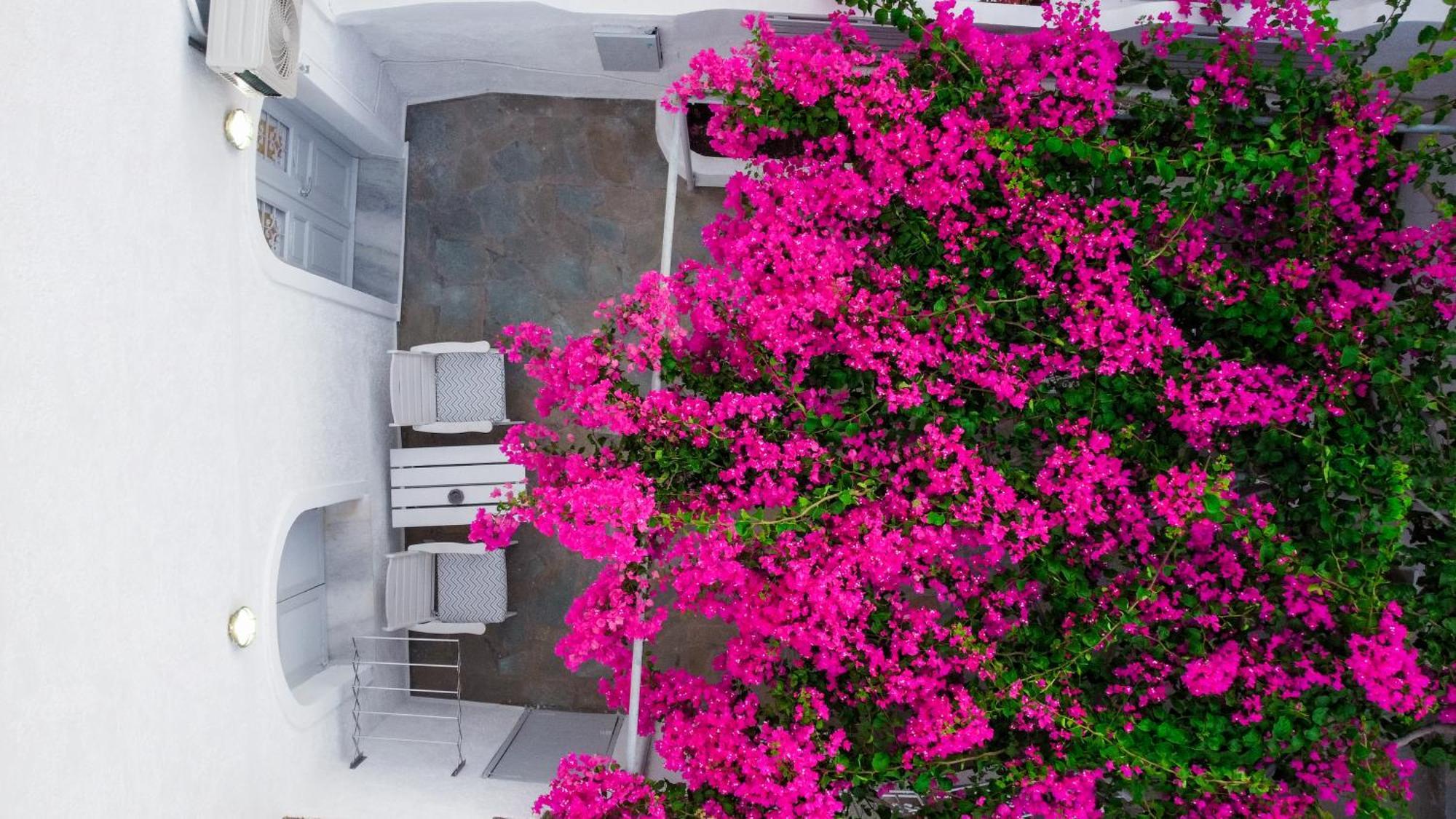 White Haven Cave Holiday home *