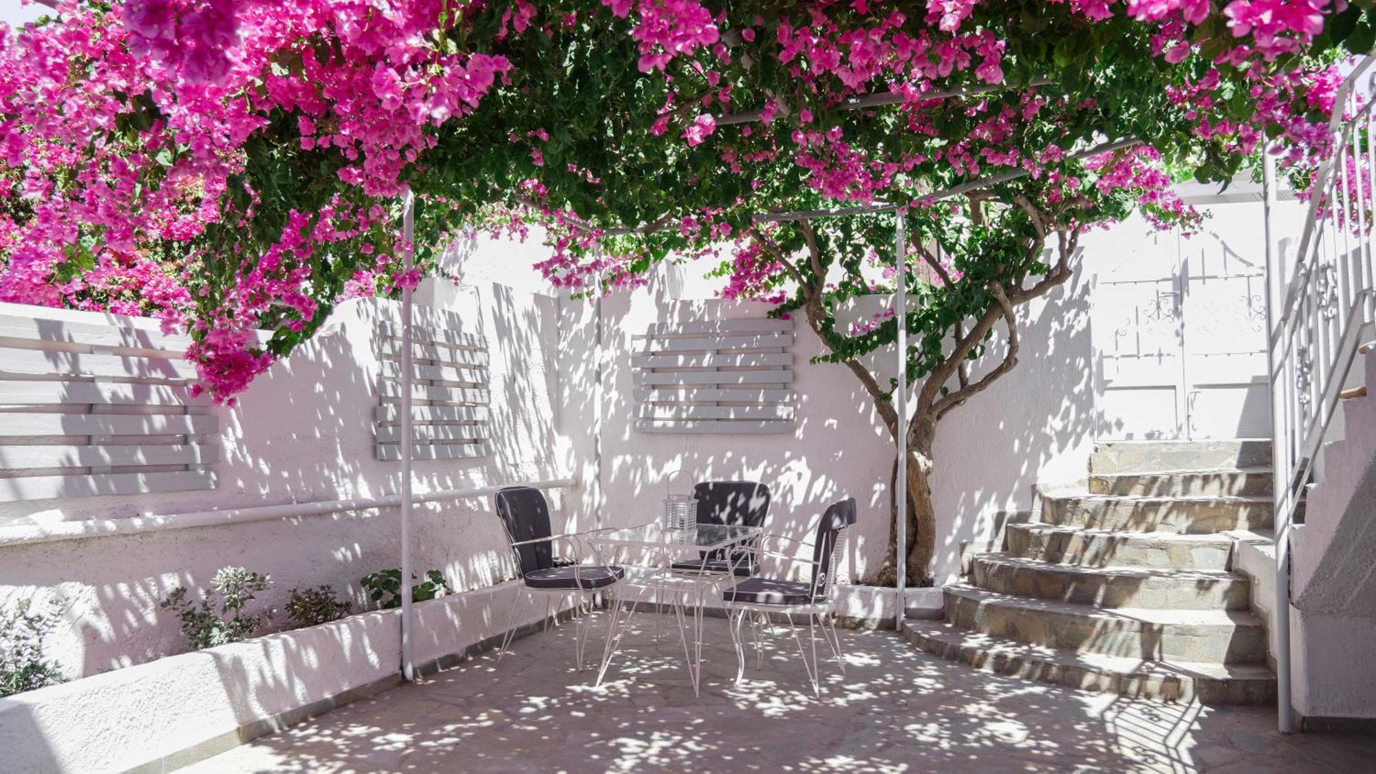 White Haven Cave Holiday home *